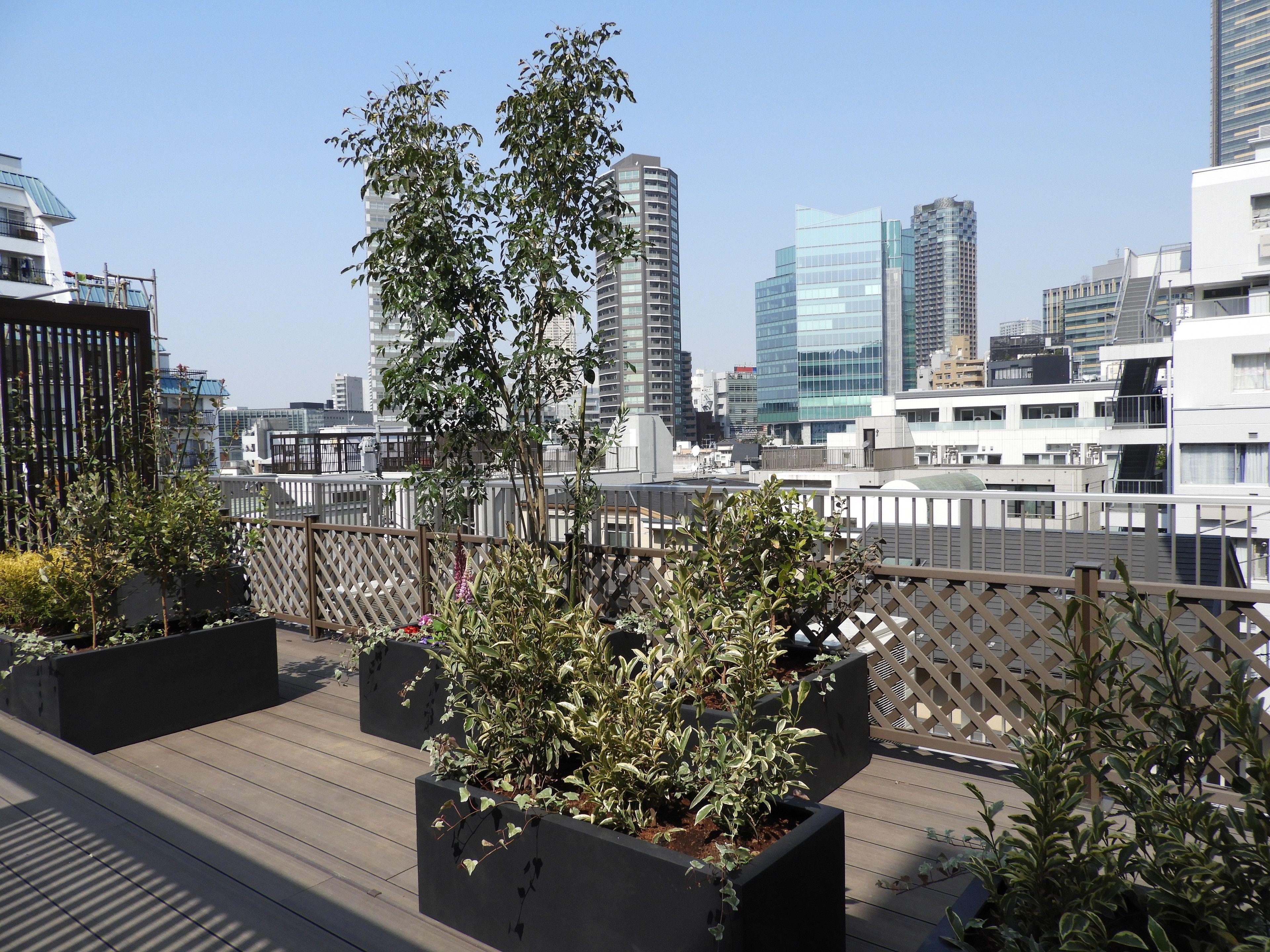 Act Hotel Roppongi — Photos 3